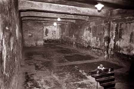 La Alemania nazi Imágenes La cámara de gas